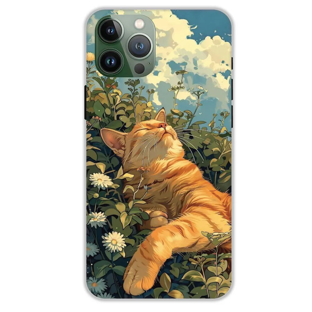 Garfield Sleeping - Hard Cases For Apple iPhone 11 Pro